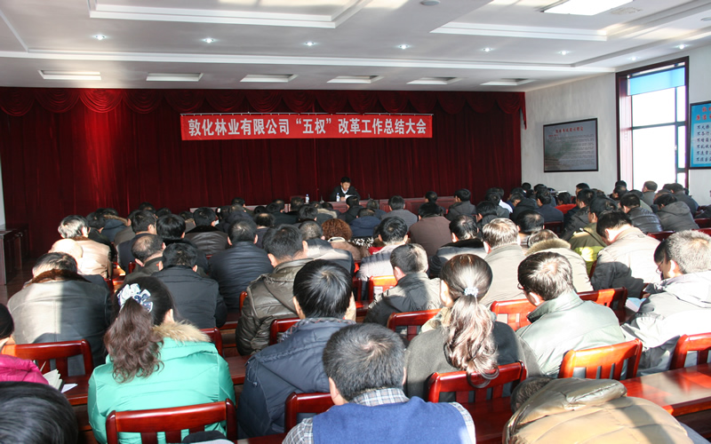 党委书记苏芒在“五权”鼎新工作总结大会上讲话